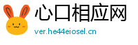 心口相应网
